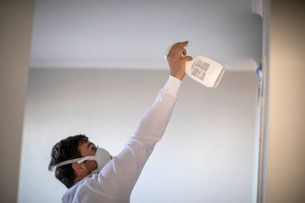 Best Mold Removal Process  in Diablo Grande, CA
