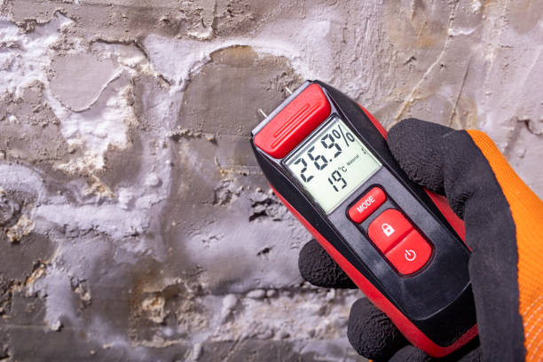 Best Emergency Mold Removal  in Diablo Grande, CA