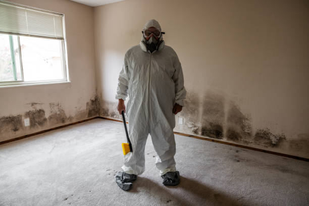 Best Mold Remediation  in Diablo Grande, CA